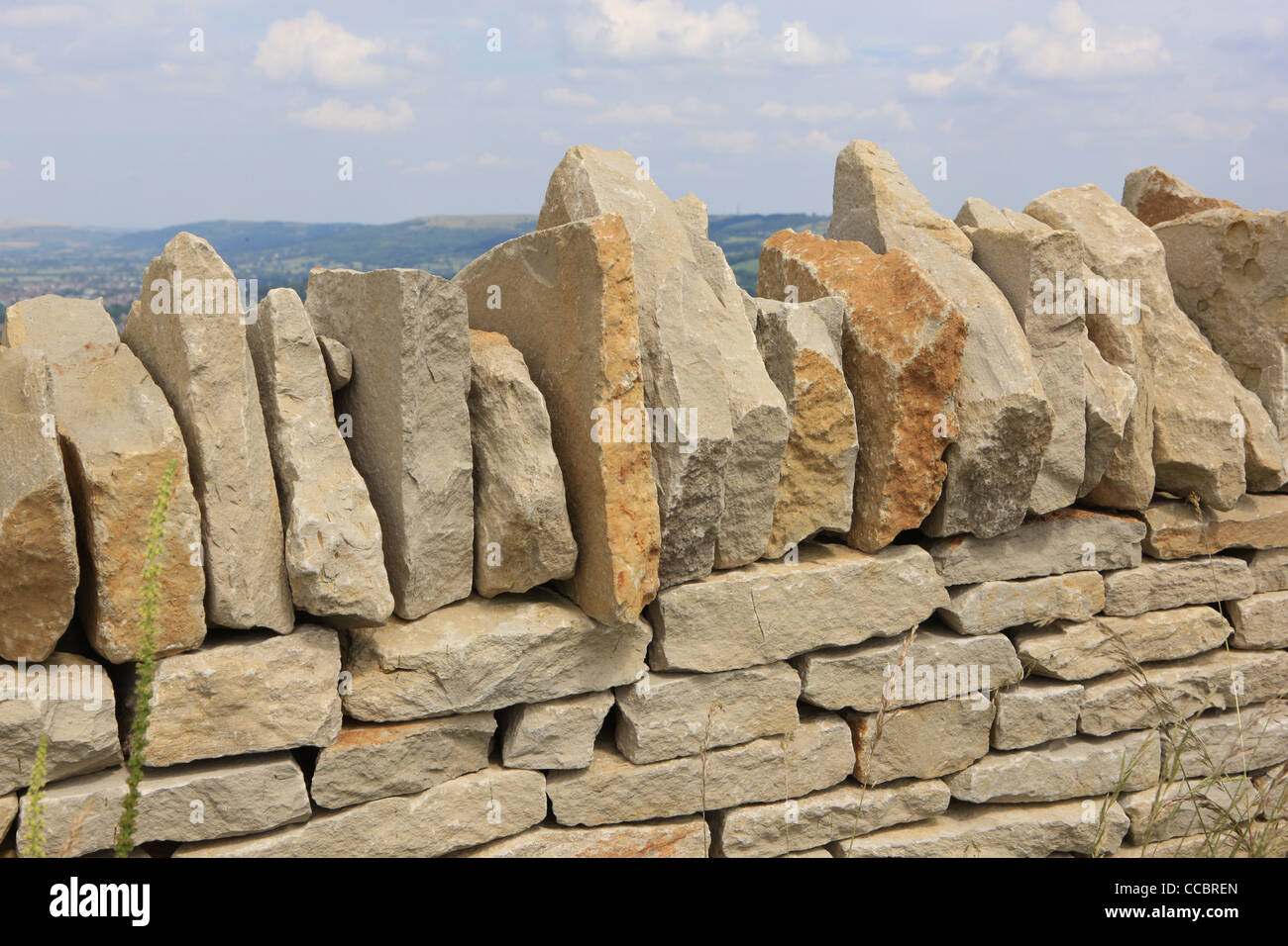 Neue Wand auf Leckhampton Hügel in der Nähe von Cheltenham Stockfoto