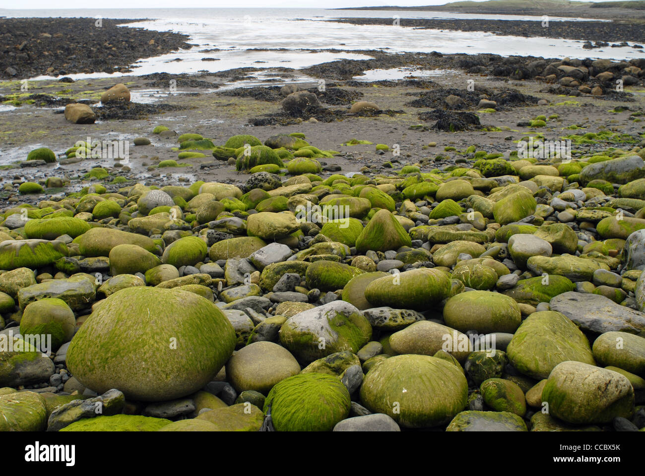 Strand in der Nähe der Überreste der Abtei Staad, Streedagh, County Sligo, Grenzregion, Connacht, Irland, Europa. Stockfoto