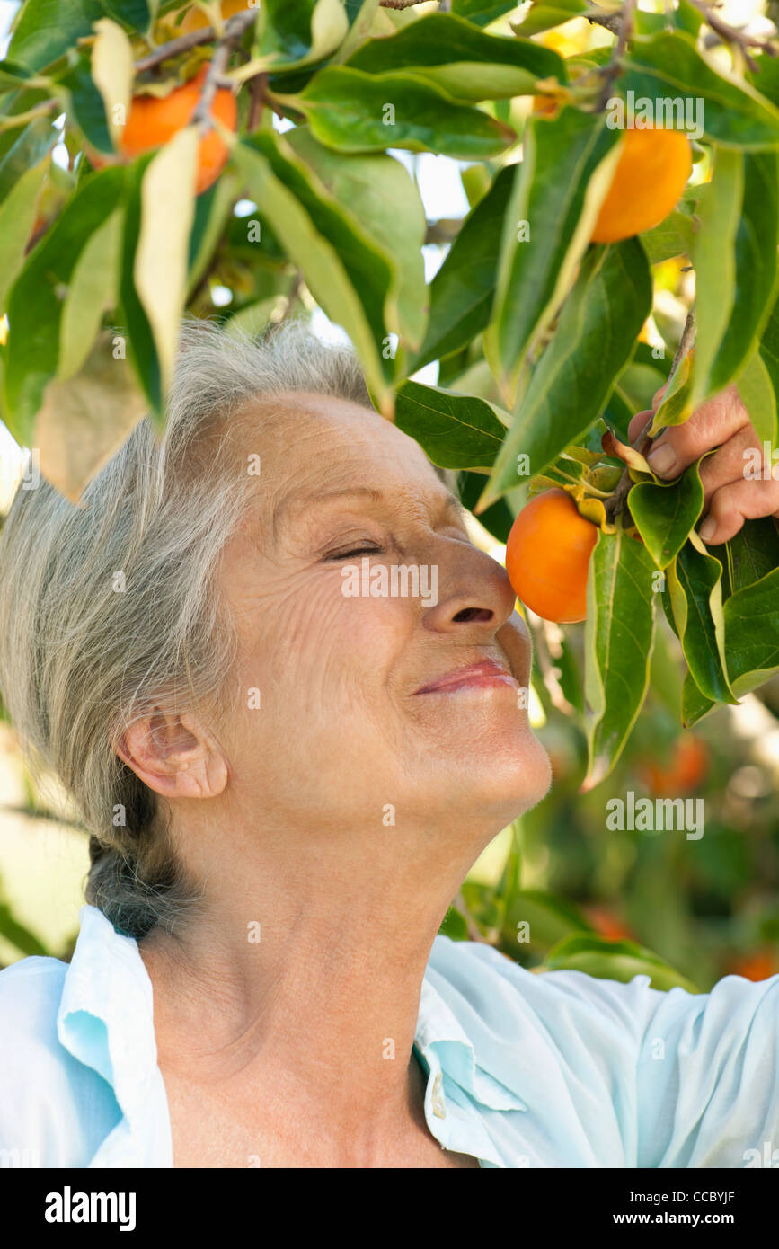 Ältere Frau riechen Orange auf Baum Stockfoto