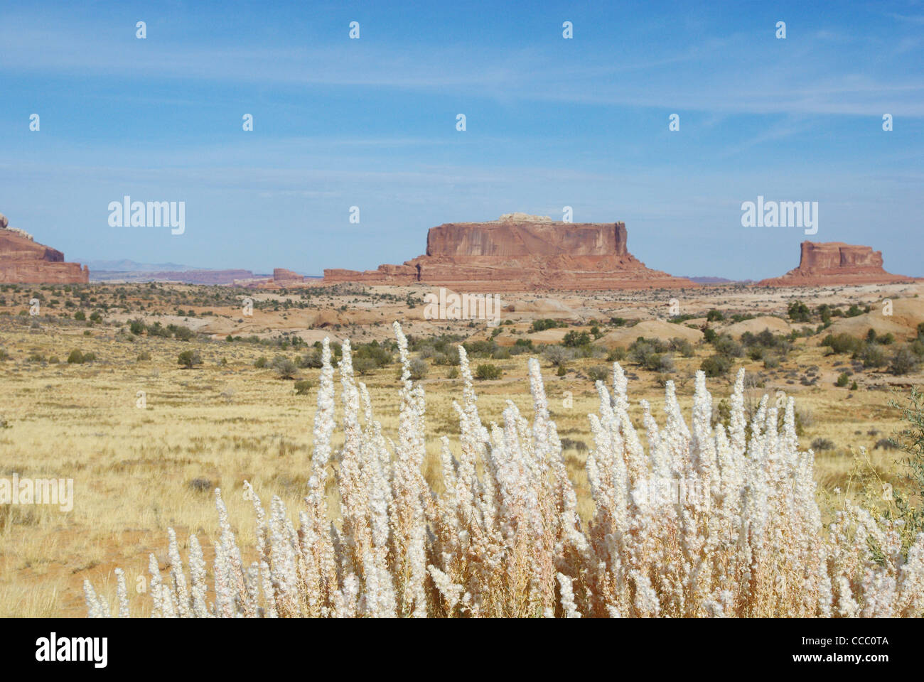 Buttes in der Nähe von Canyon Lands National Park, Utah. Stockfoto