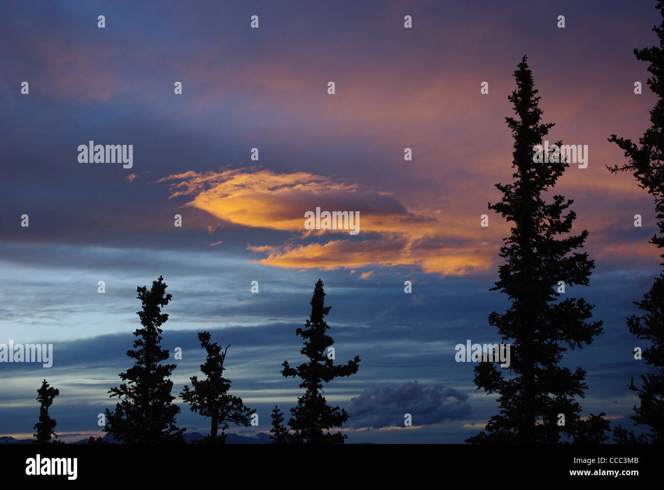 Abend Wolken, Rocky Mountains, Colorado Stockfoto