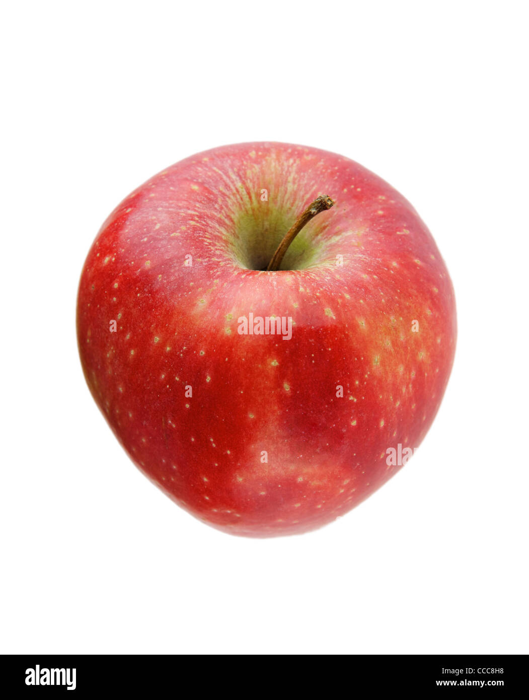 Apple auf weißem Hintergrund Stockfoto