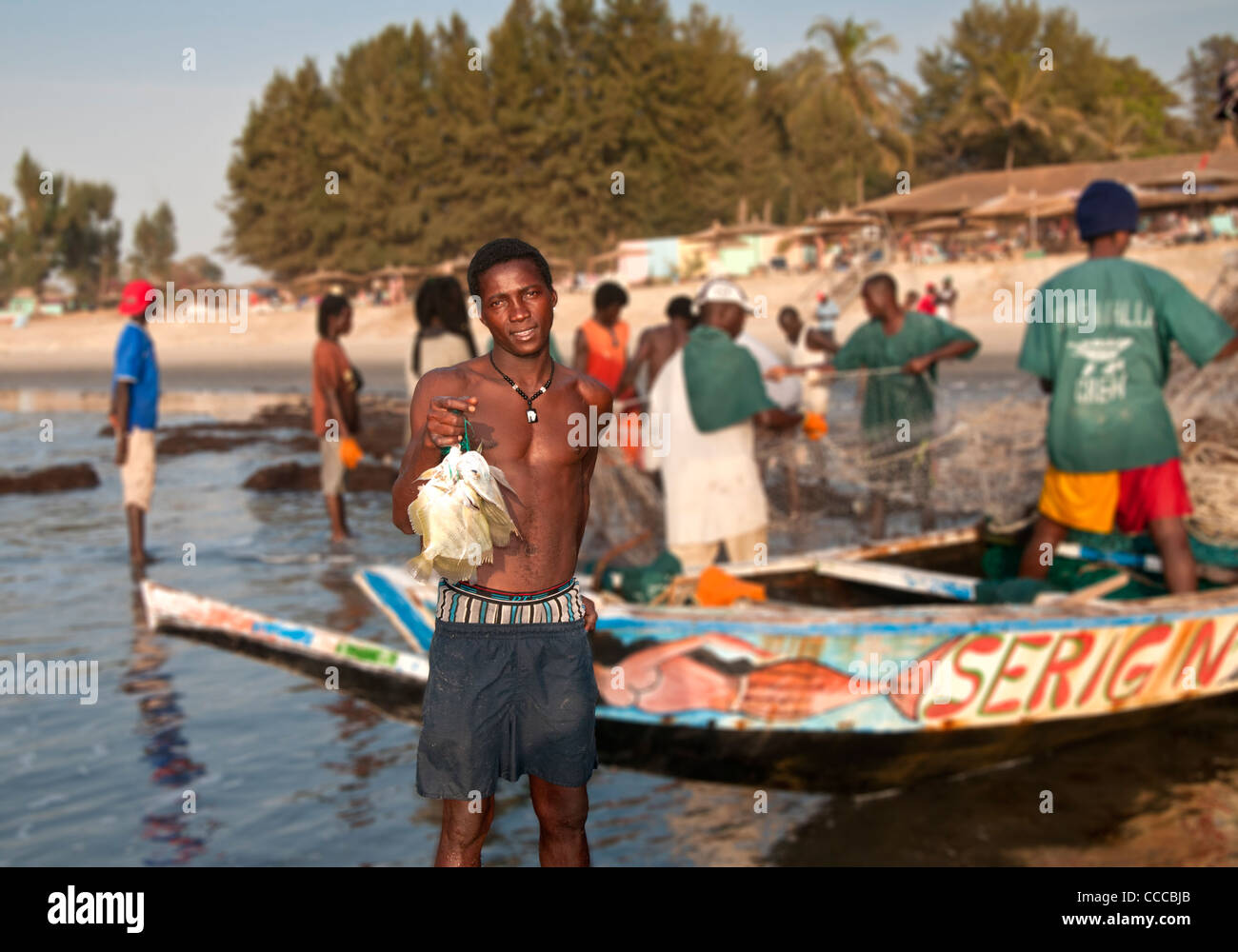 Gambische Fischer mit Fang von Angelfish mit dem Boot auf Kololi Beach in der Nähe von Serekunda, Gambia, Westafrika Stockfoto
