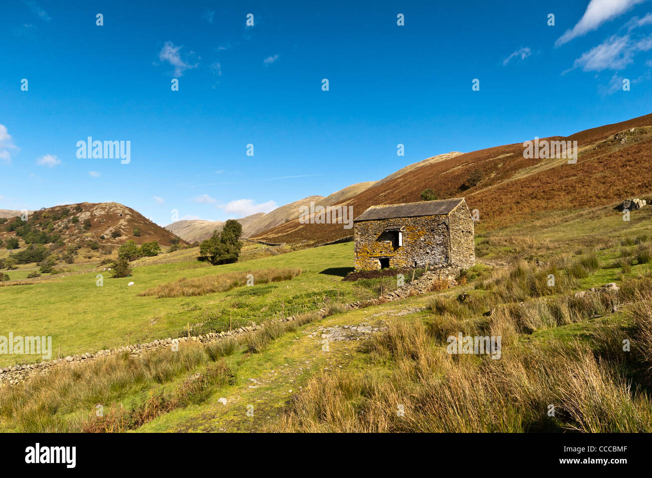 Ein Alter Bauernhof, aufbauend auf einer Schaffarm in Cumbria an einem sehr sonnigen Tag Stockfoto
