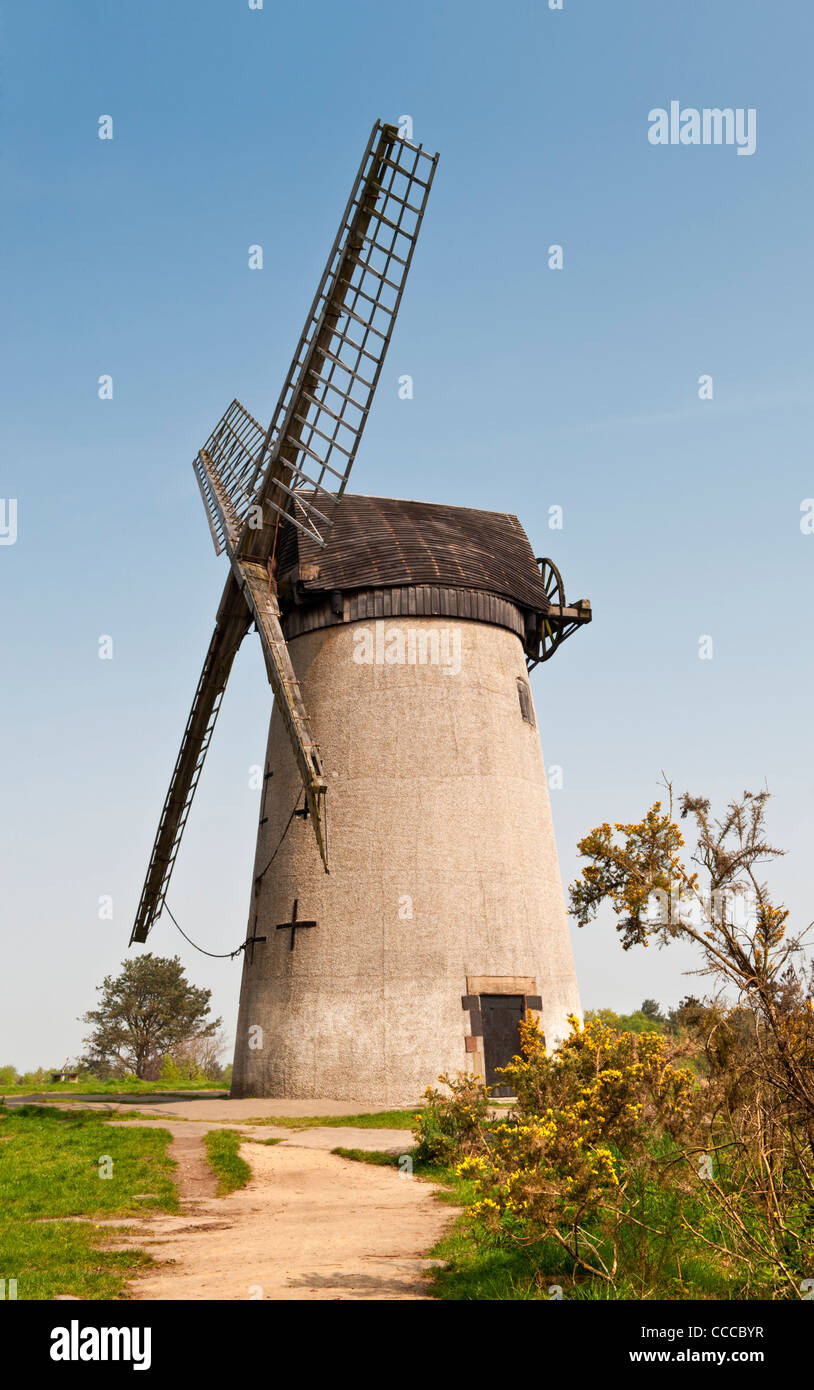 Bidston Windmühle, Bidston Hill, in der Nähe von Birkenhead, Wirral, Merseyside, England, Vereinigtes Königreich Stockfoto