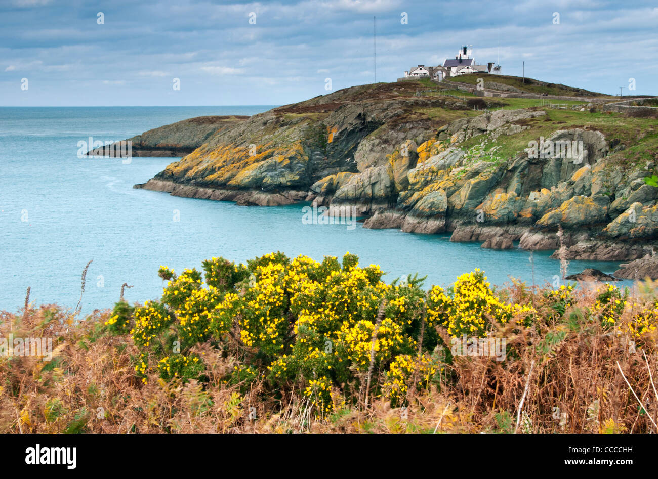 Zeigen Sie Lynas Leuchtturm in der Nähe von Amlwch, Anglesey, North Wales, UK Stockfoto