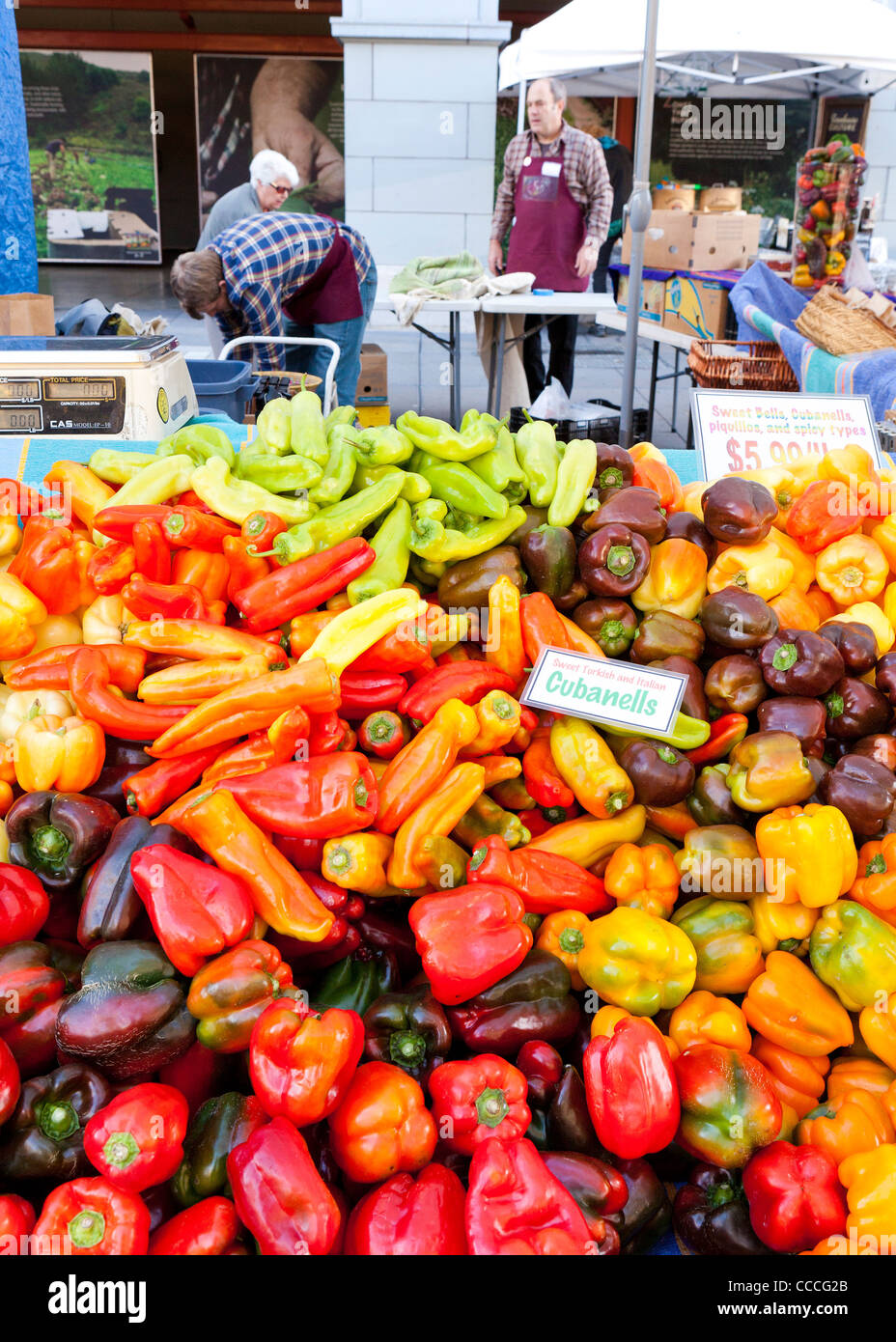 Bio türkische und italienische Cubanelle Paprika am Bauernmarkt - San Francisco, Kalifornien, USA Stockfoto