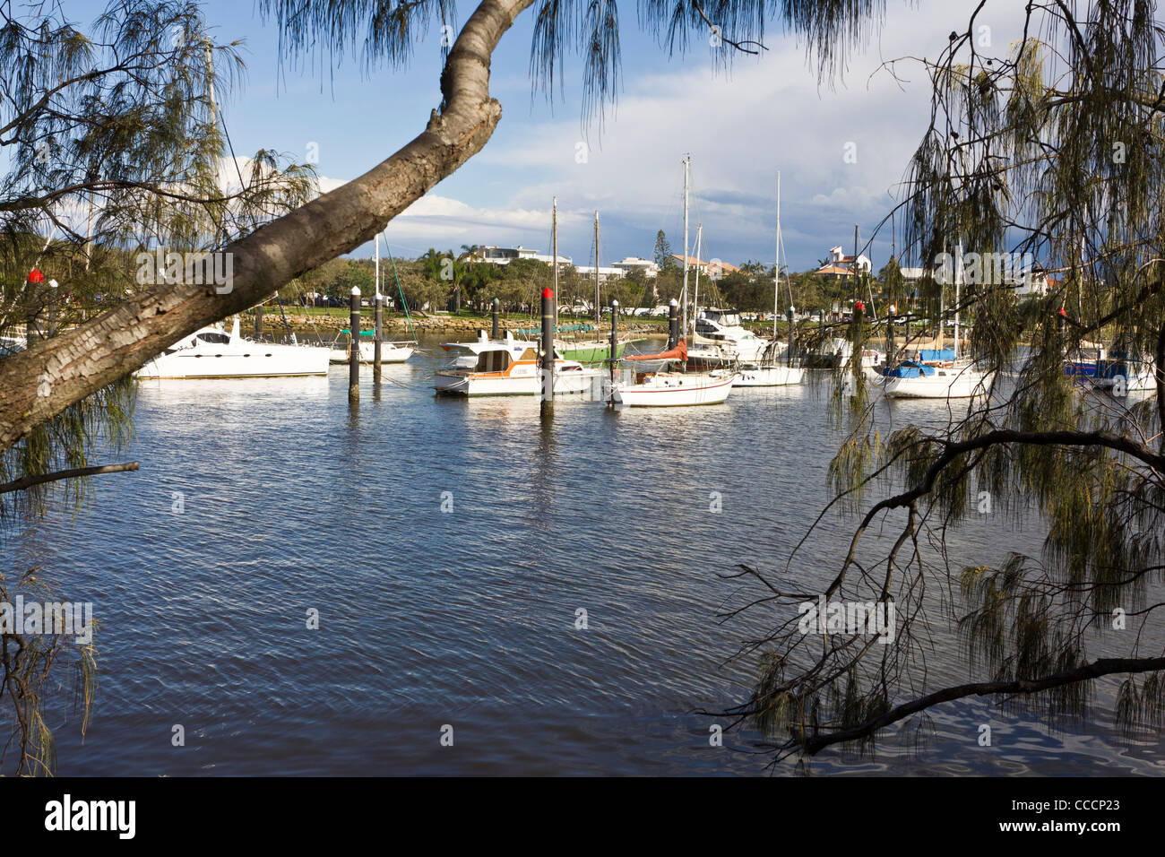 Boote in Mooloolah River mit modernen Apartments im Hintergrund, Mooloolaba Sunshine Coast Queensland Australien Stockfoto