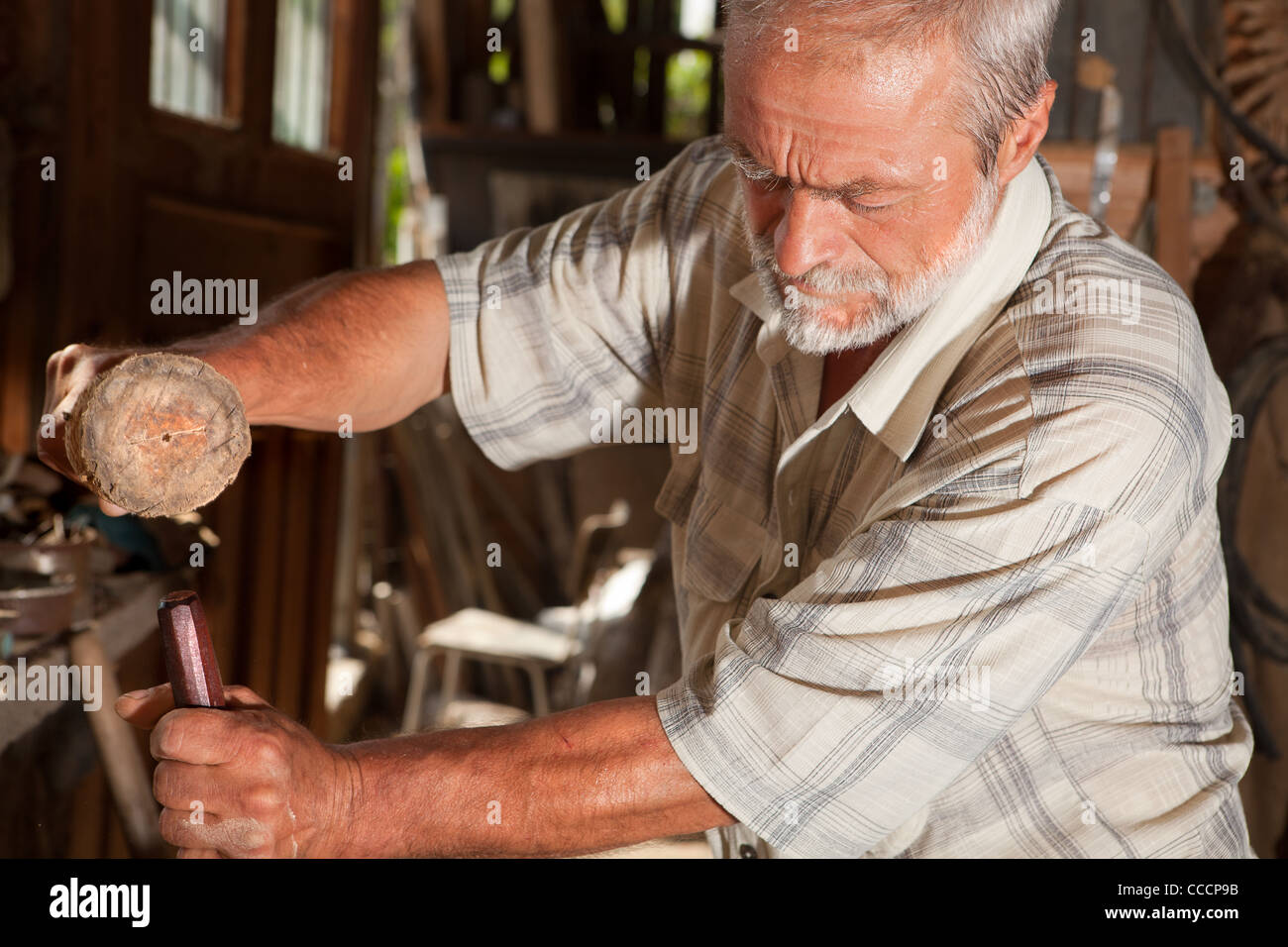 Nahaufnahme eines Tischlers arbeitet mit einem Hammer in seinem Stall Stockfoto