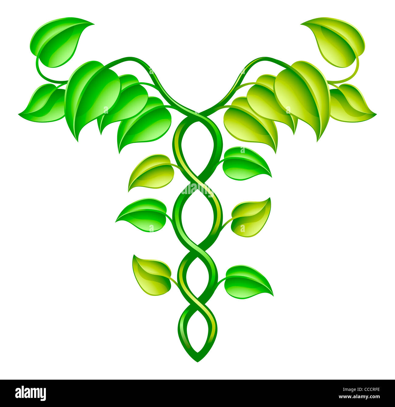 Natürliche oder alternative Medizin-Konzept der zwei Reben in einem Hermesstab Stil miteinander verflochten. Stockfoto
