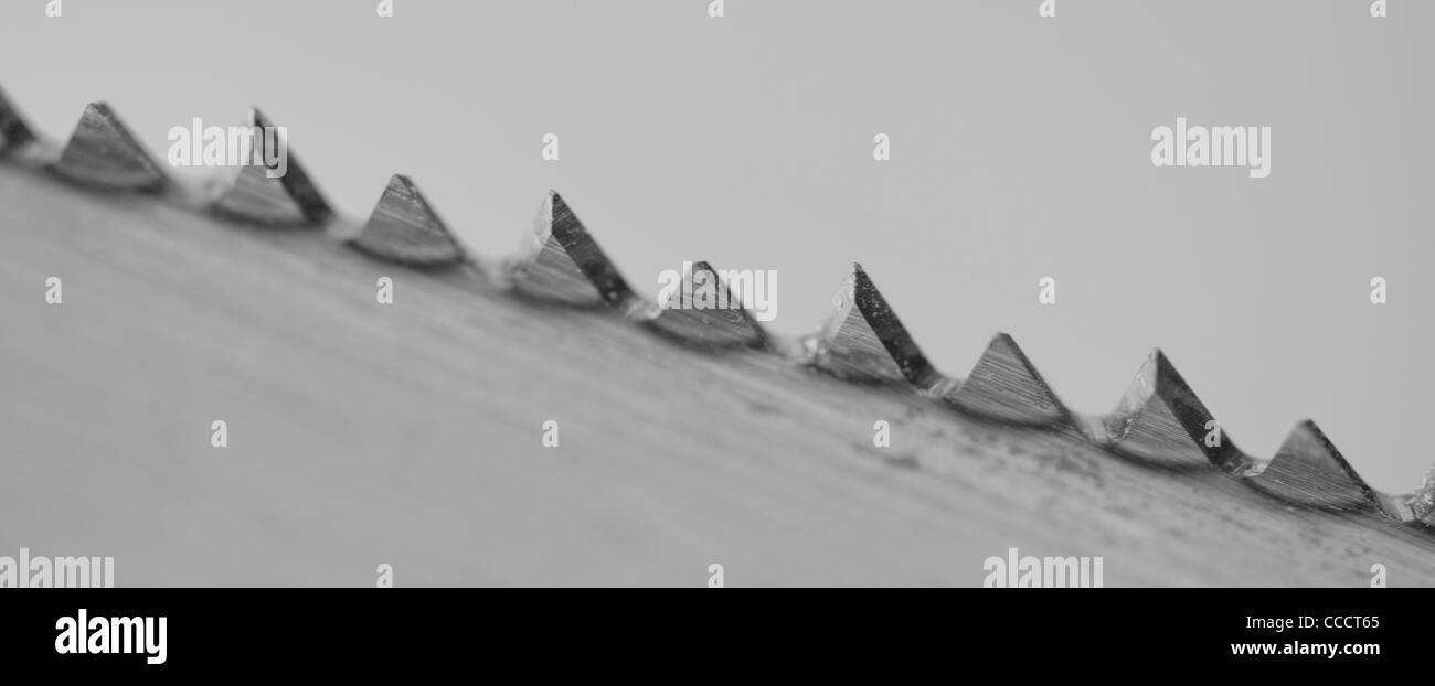 Nahaufnahme von einem Sägeblatt zeigt, dass die Zähne extrem scharf. Stockfoto