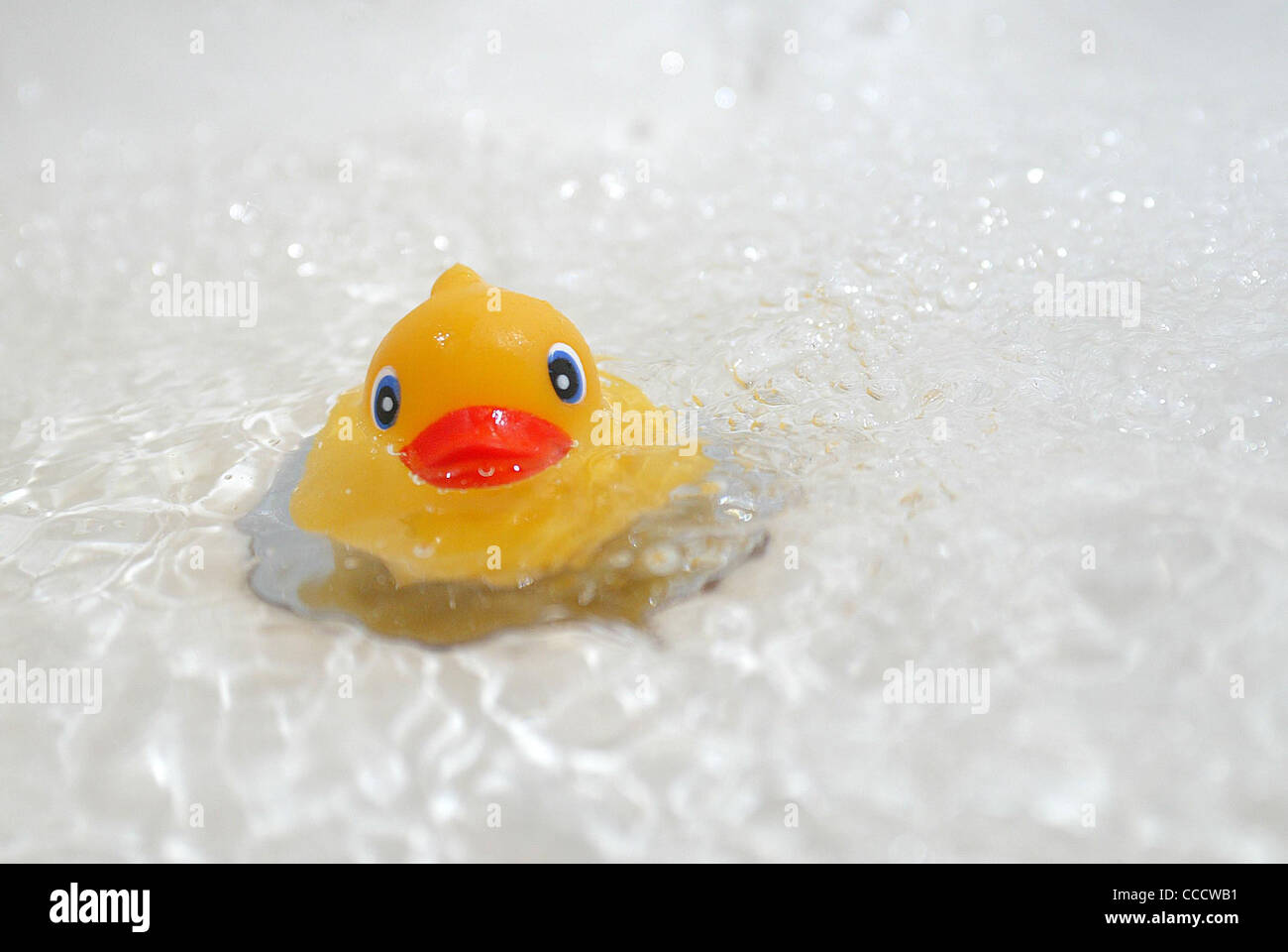 Gummiente in eine Badewanne voll Wasser. Stockfoto