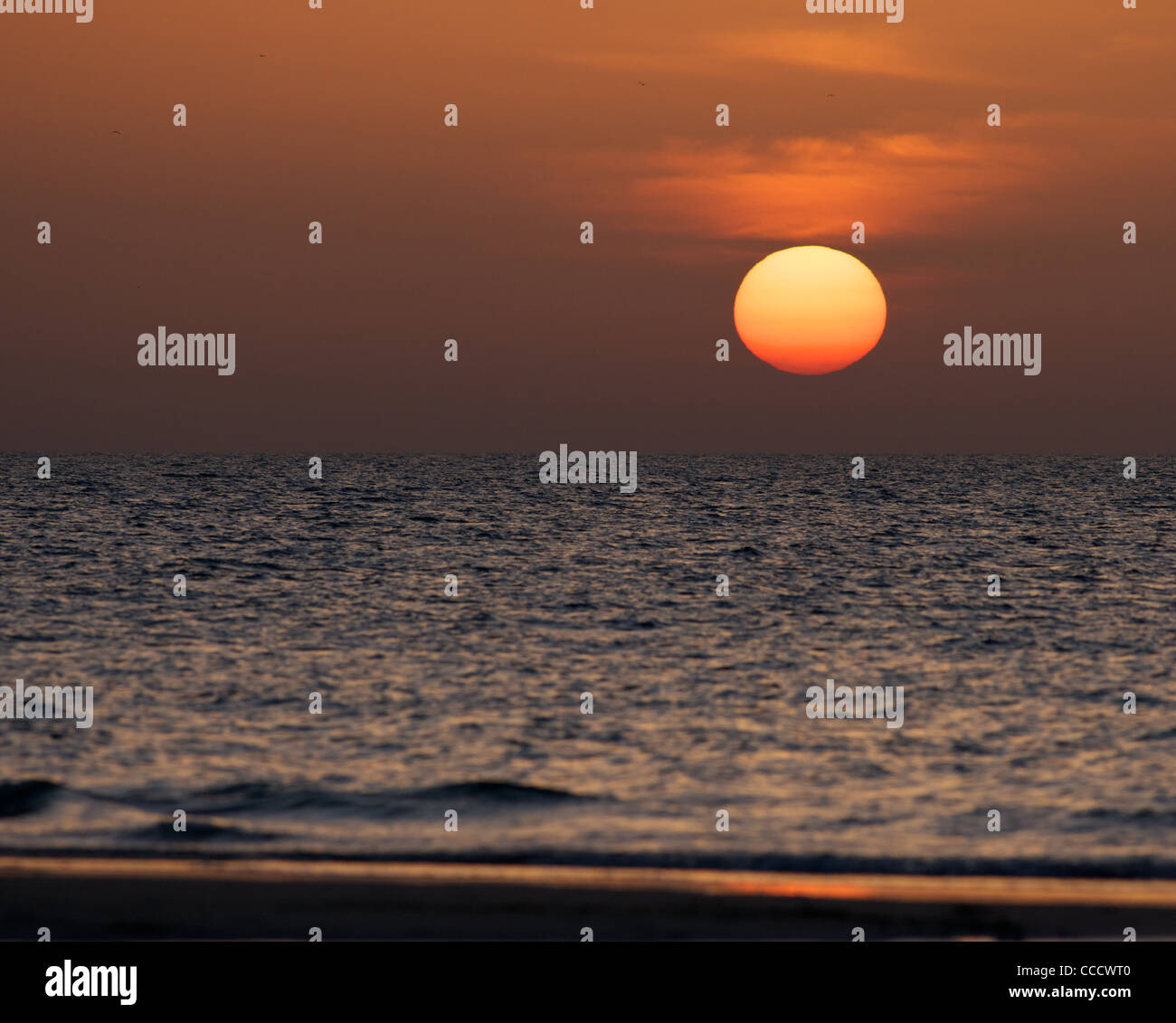 Golf-Sonnenuntergang am Strand von Jumeirah, Dubai, Vereinigte Arabische Emirate. Stockfoto
