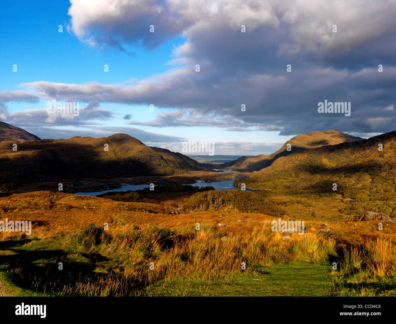 Lady's View, obere Seen, Killarney Nationalpark, Co. Kerry. Stockfoto