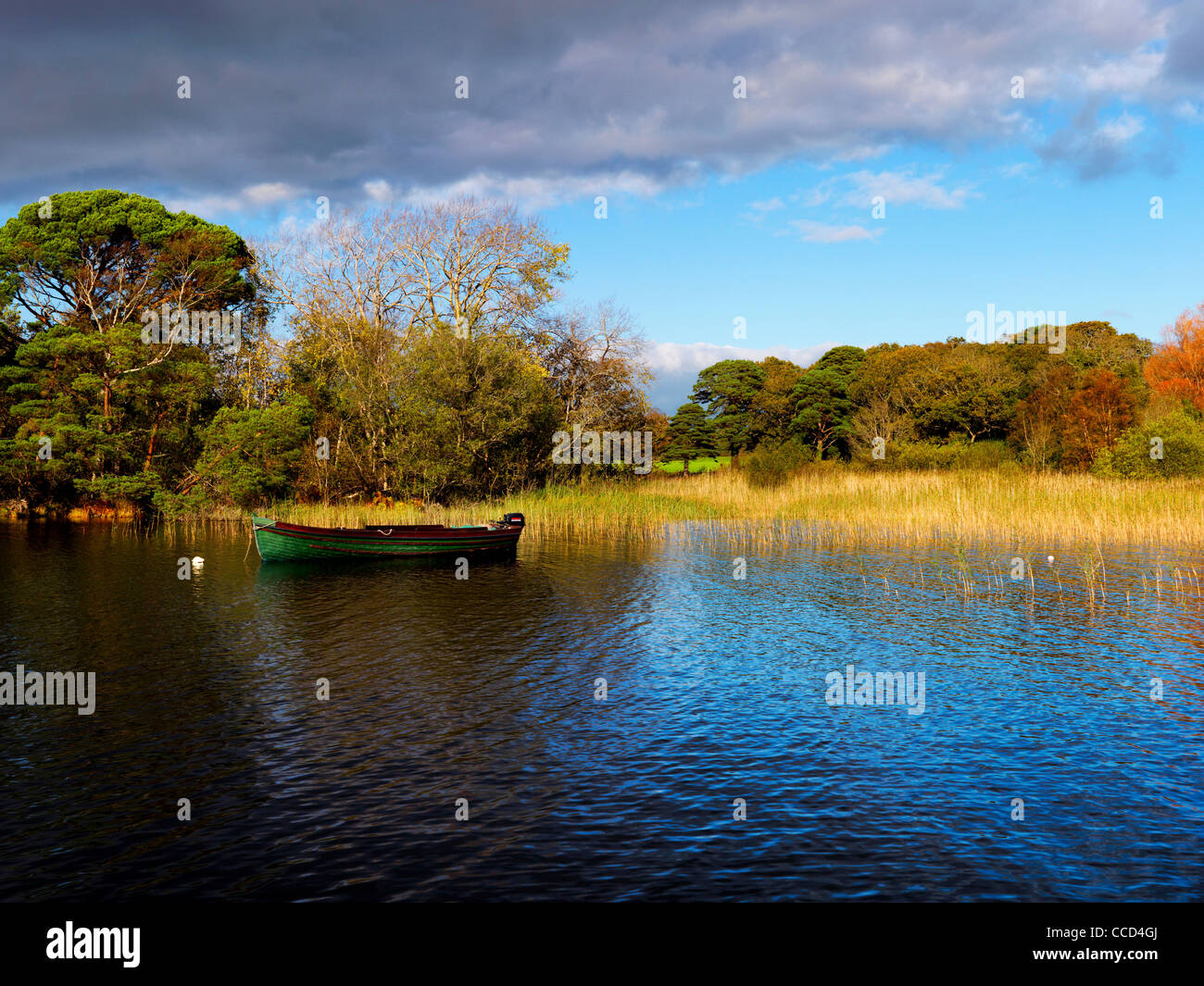 Purple Mountain über Muckross Lake, Muckross, Killarney Co. Kerry. Stockfoto