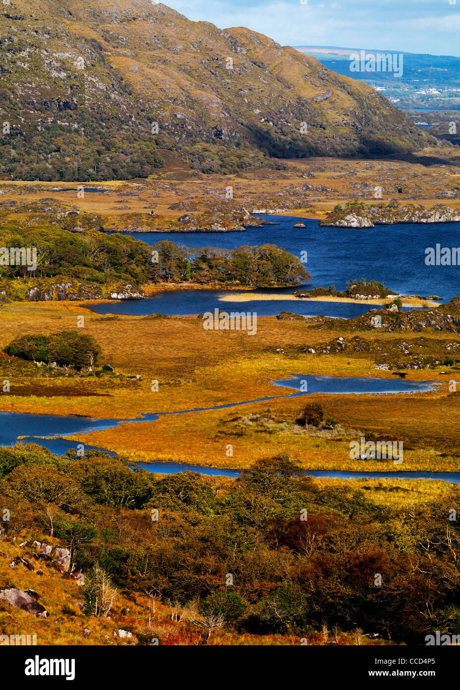 Lady's View, obere Seen, Killarney Nationalpark, Co. Kerry. Stockfoto