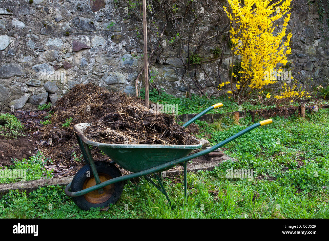 Dngen mit Glle und graben, Schritt 2, Schubkarre mit Glle  Stockfotografie - Alamy