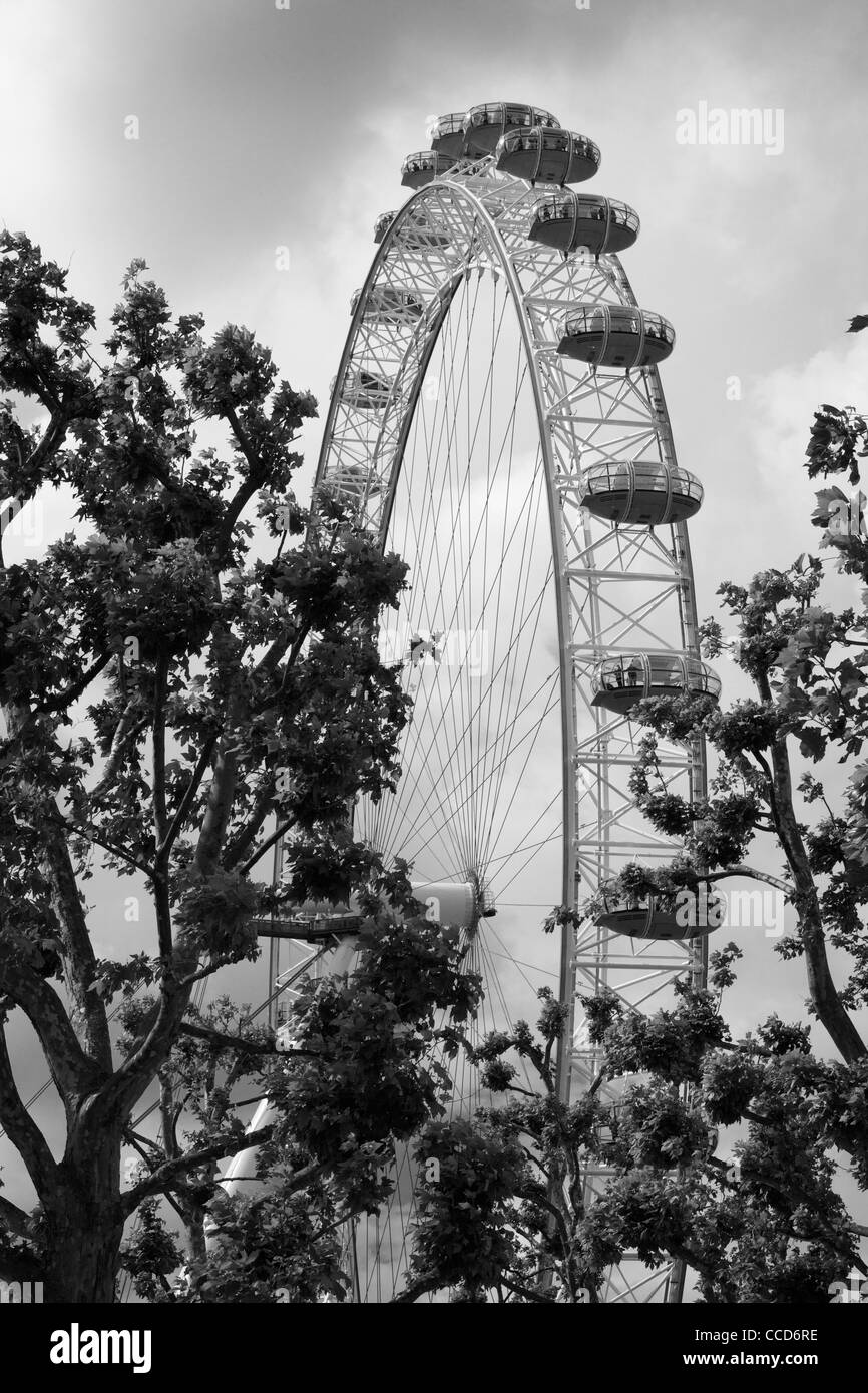 Das London Eye Riesenrad, London, England. Stockfoto