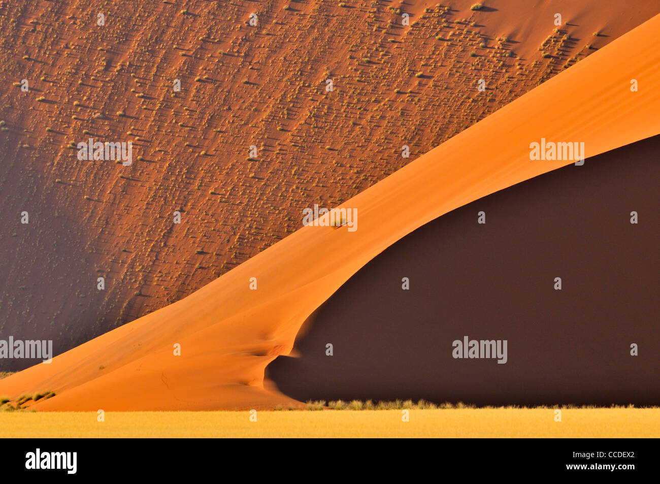 Roten Sanddünen von Sossusvlei / Sossus Vlei in der Namib-Wüste, Namibia, Südafrika Stockfoto