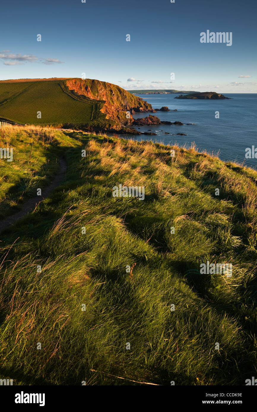 Der South West Coast Path zwischen Westcome Bay und Ayrmer Cove in Devon blickte zurück. Stockfoto