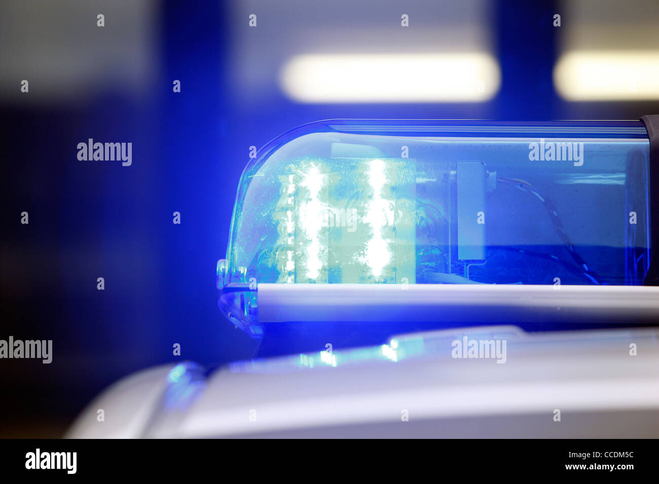 Blaues Licht von einem Polizeiauto. Stockfoto