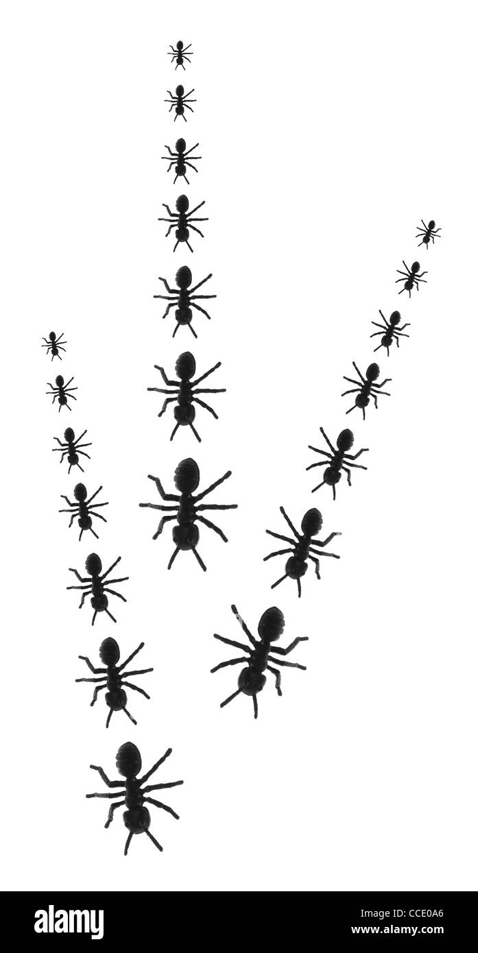 Linien der Spielzeug-Ameisen Stockfoto