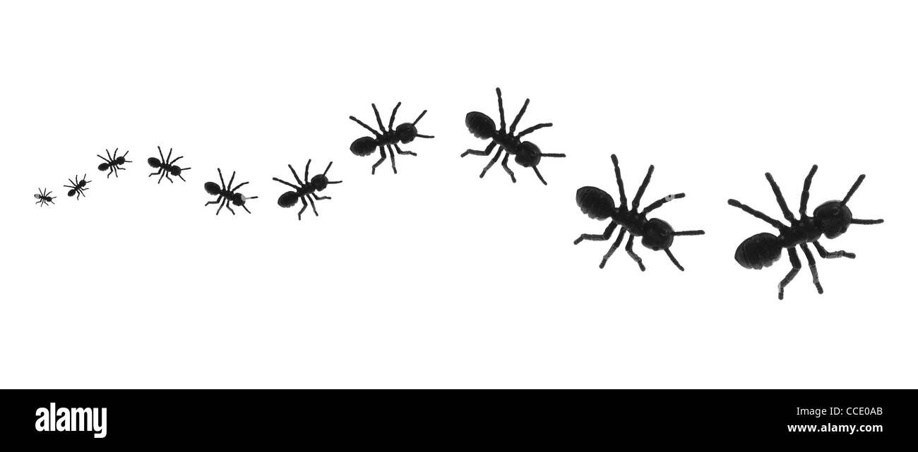 Linie von Spielzeug Ameisen Stockfoto