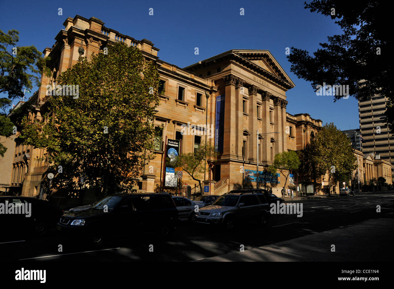 Das Australian Museum ist ein denkmalgeschütztes Museum an der William Street im zentralen Geschäftsviertel von Sydney, New South Wales, Australien. Stockfoto