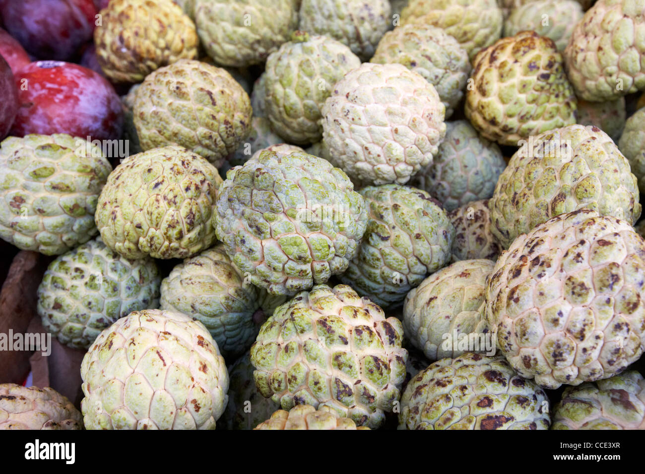 Zucker Apfel Annona Squamosa auf eine asiatische Frischobst Stall in Aberdeen Hongkong Sonderverwaltungsregion Hongkong China Asien Stockfoto