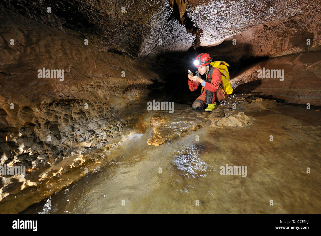 Eine neue Art von Höhle Höhlenpseudoskorpion, gefunden von Biologen Sofia Reboleira Wohnung befindet sich in der Algarve in Portugal Stockfoto