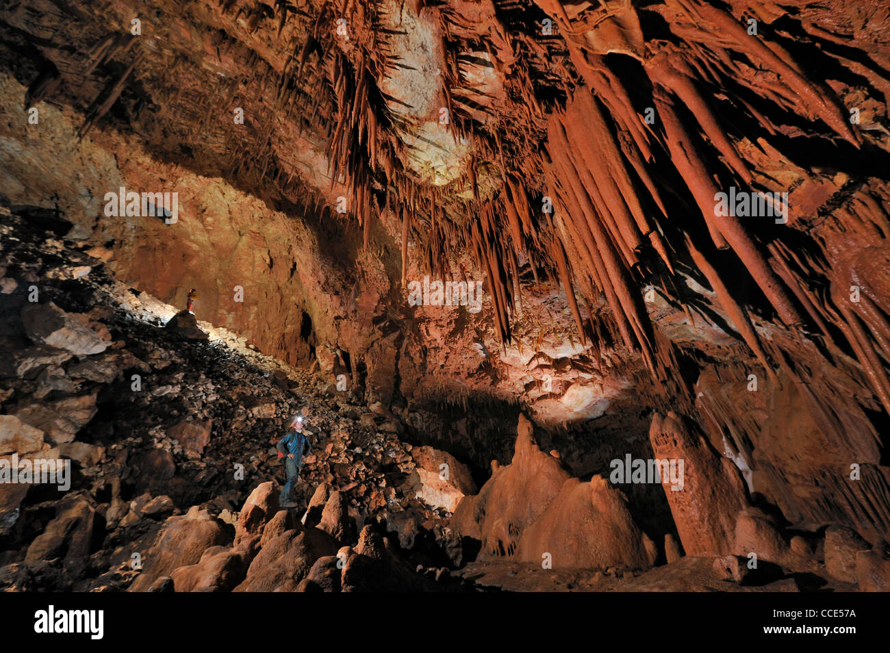 Eine neue Art von Höhle Höhlenpseudoskorpion, gefunden von Biologen Sofia Reboleira Wohnung befindet sich in der Algarve in Portugal Stockfoto