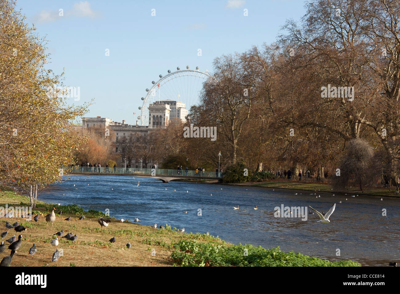 St James' Park Ansicht des London Eye Stockfoto