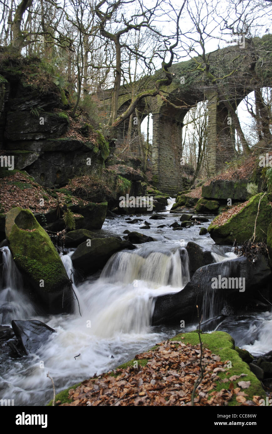 Healey Dell Nature Reserve Rochdale viktorianische Viadukt. Stockfoto