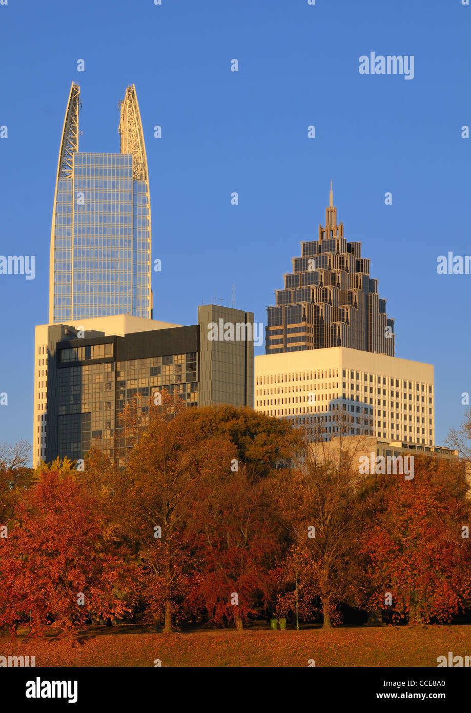 Midtown Atlanta, Georgia von Piedmont Park im Herbst gesehen. Stockfoto