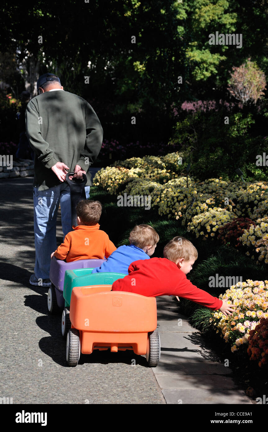 Dallas Arboretum, Texas, USA Stockfoto
