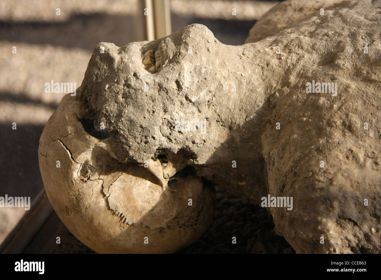 Opfer des Vesuv Ausbruch vulkanischer Asche Pompeji in der Nähe von Neapel, Kampanien Italien Europa. Stockfoto