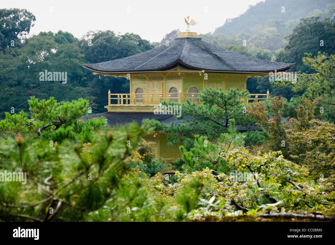 Kinkakuji Tempel oder die Goldenen Pavillon in Kyoto - Japan Stockfoto