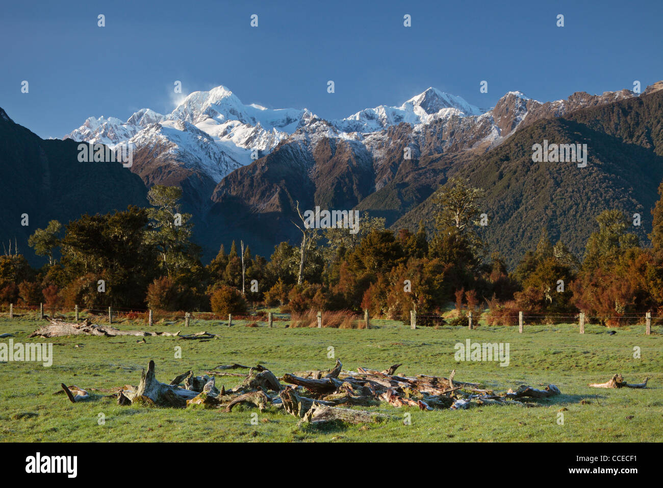 Blick auf Mt. Cook (Aoraki) und Mt Tasman von in der Nähe von Lake Matheson in Neuseeland gesehen Stockfoto