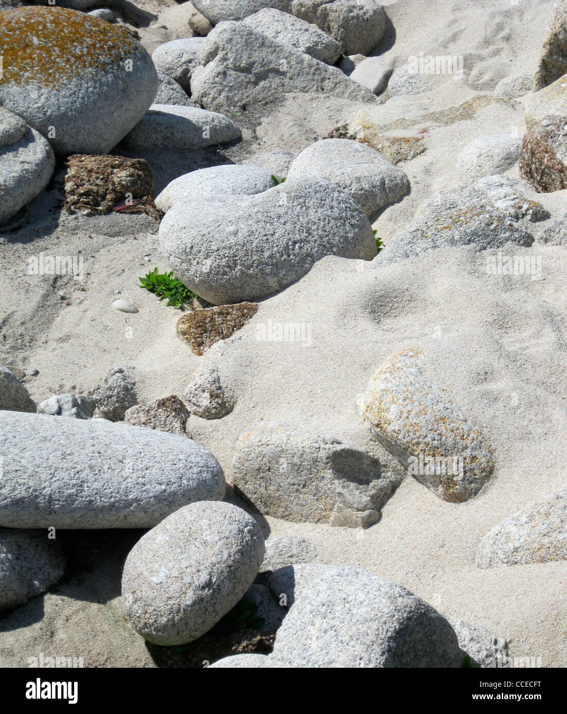 Riesige kieselsteine Fotos und Bildmaterial in hoher Auflösung Alamy