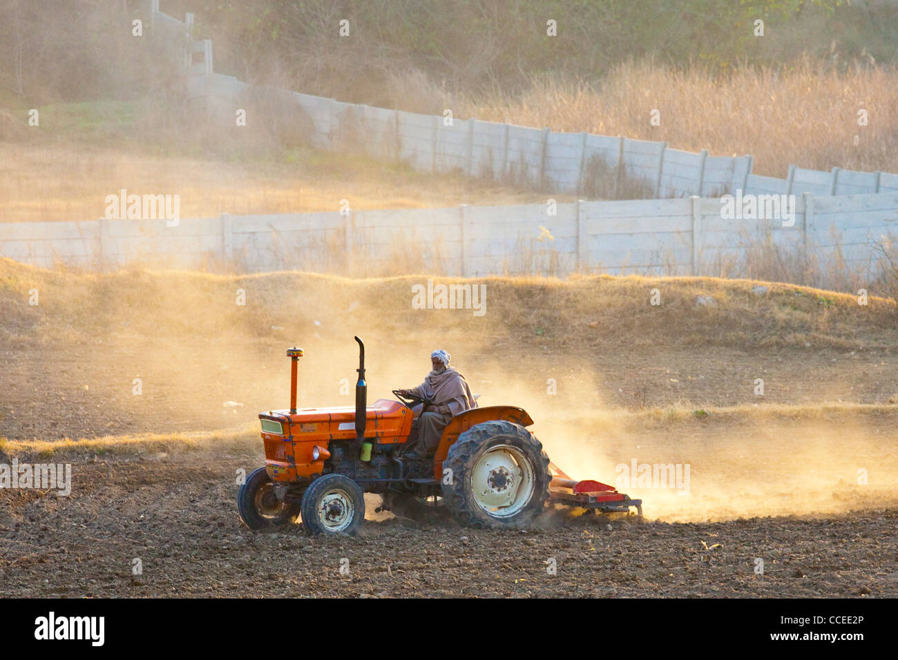 Bauer mit dem Traktor in der Provinz Punjab, Pakistan Stockfoto