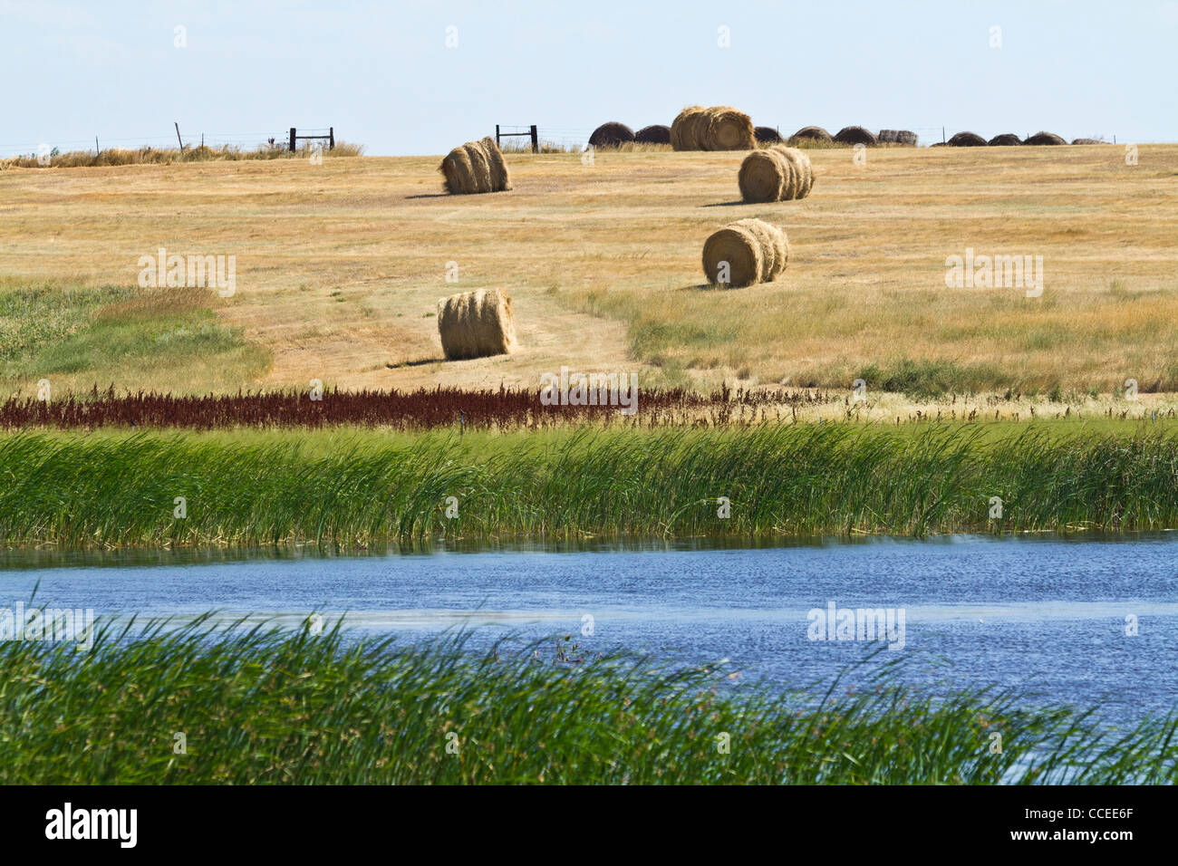 Pine Ridge Native Reservations Stamm Lakota Oglala Sioux South Dakota in den USA USA USA ländliche Natur Land landschaftlich schöne Vereinigte Staaten Fotos hoch auflösende Stockfoto