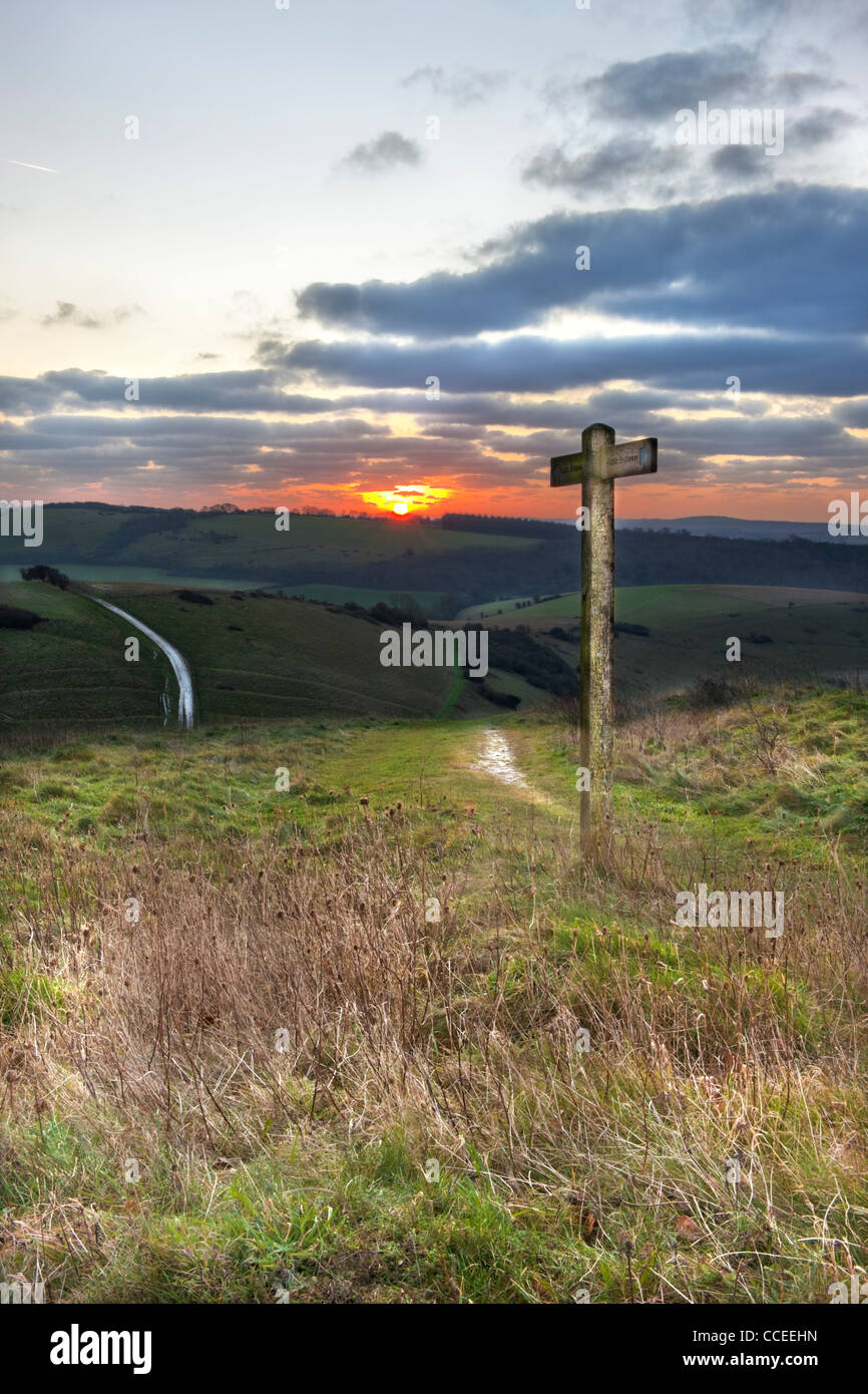 Öffentliche Maultierweg Fingerposts auf dem Beacon Hill, South Downs Way, in der Nähe von South Harting bei Sonnenaufgang im Januar Stockfoto