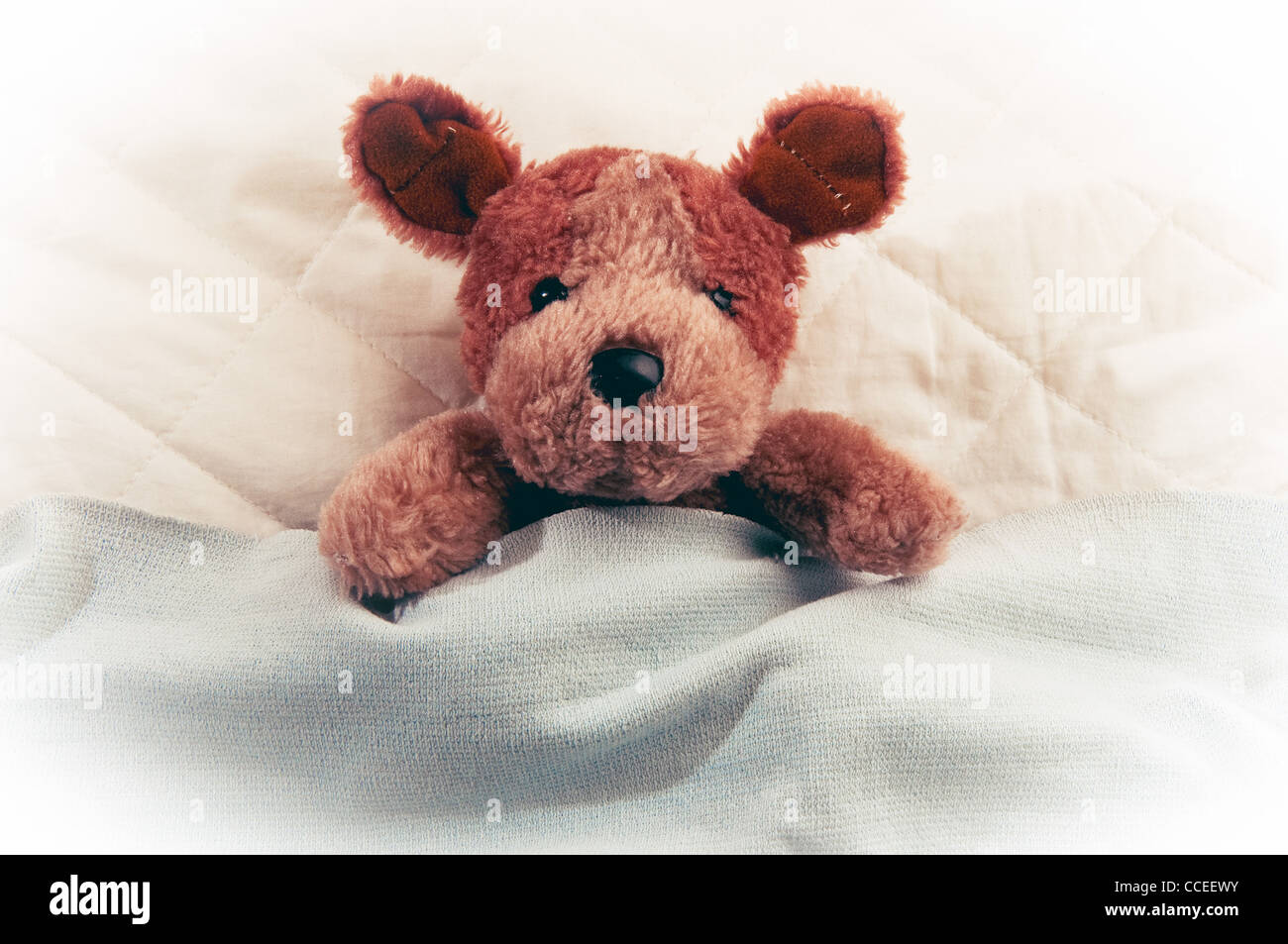 Süße kleine Teddybär im Bett legen und schlafen Stockfotografie - Alamy