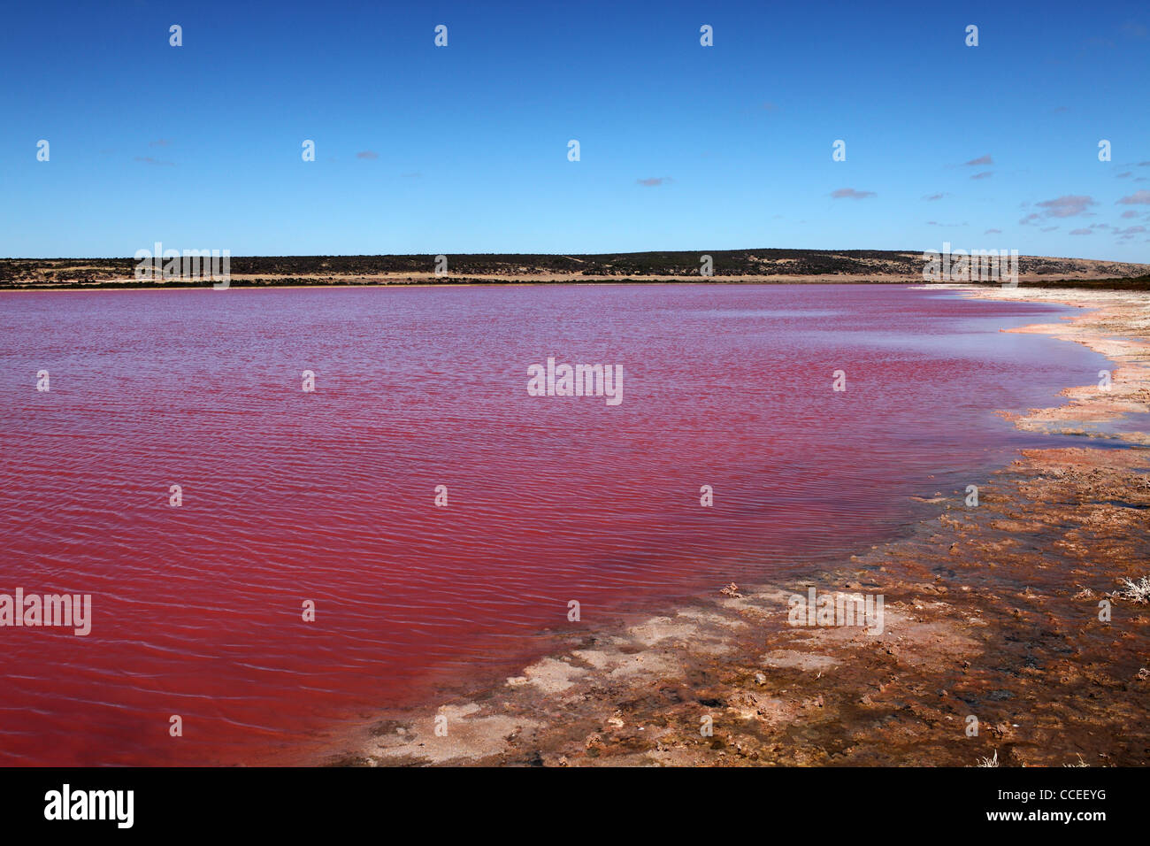 Hutt Rosa Lagune am Port Gregory in Westaustralien. Stockfoto