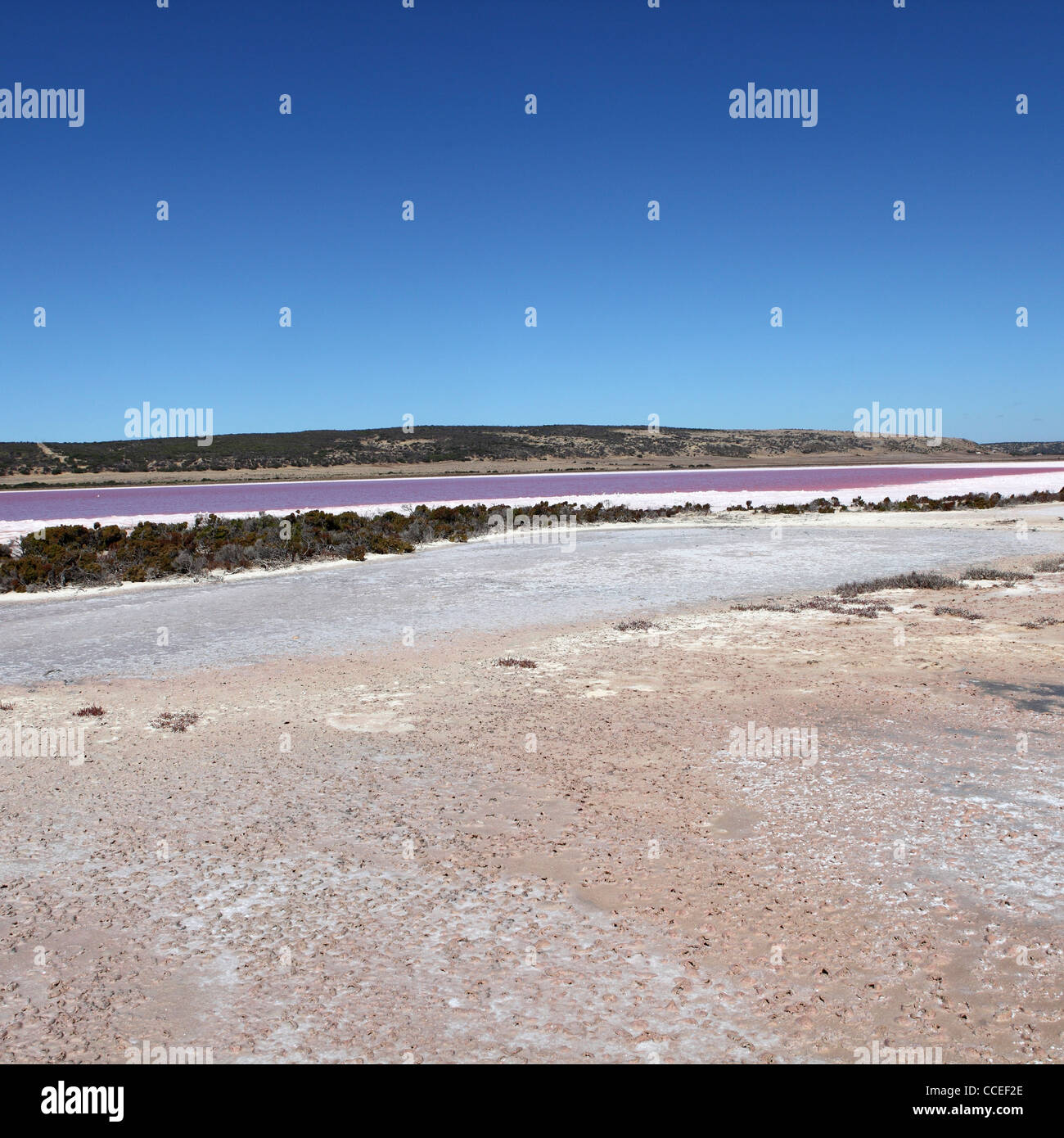 Mineralische Ablagerungen um Hutt Rosa Lagune in Western Australia. Stockfoto