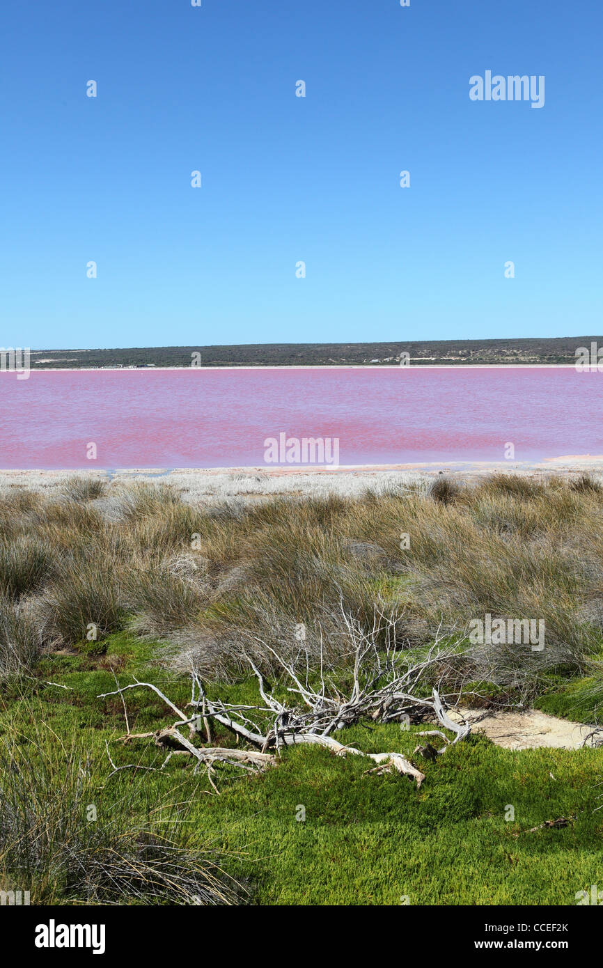 Hutt Rosa Lagune am Port Gregory in Westaustralien. Stockfoto