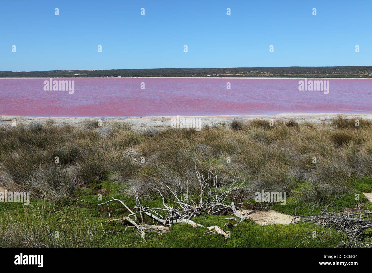 Hutt Rosa Lagune am Port Gregory in Westaustralien. Stockfoto