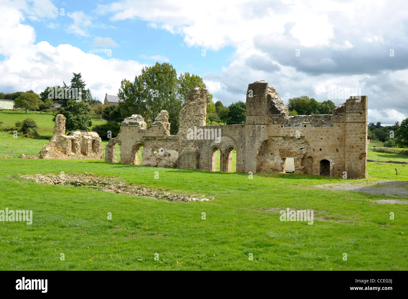 Die Ruinen der Abtei von Savigny, XII (Savigny le Vieux, Normandie, Frankreich). Stockfoto