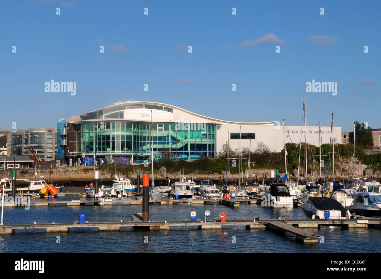 Die National Marine Aquarium-Plymouth Stockfoto
