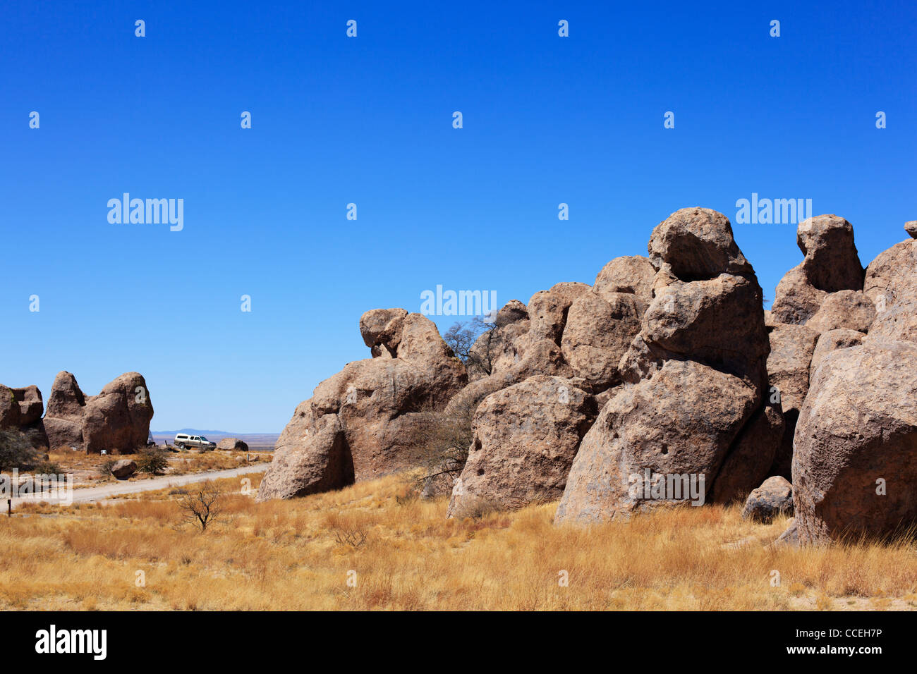 Ausgewaschene Felsformationen im City of Rocks State Park in New Mexico, USA. Stockfoto